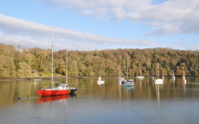 A December Cycle Beside Beautiful Cork Harbour